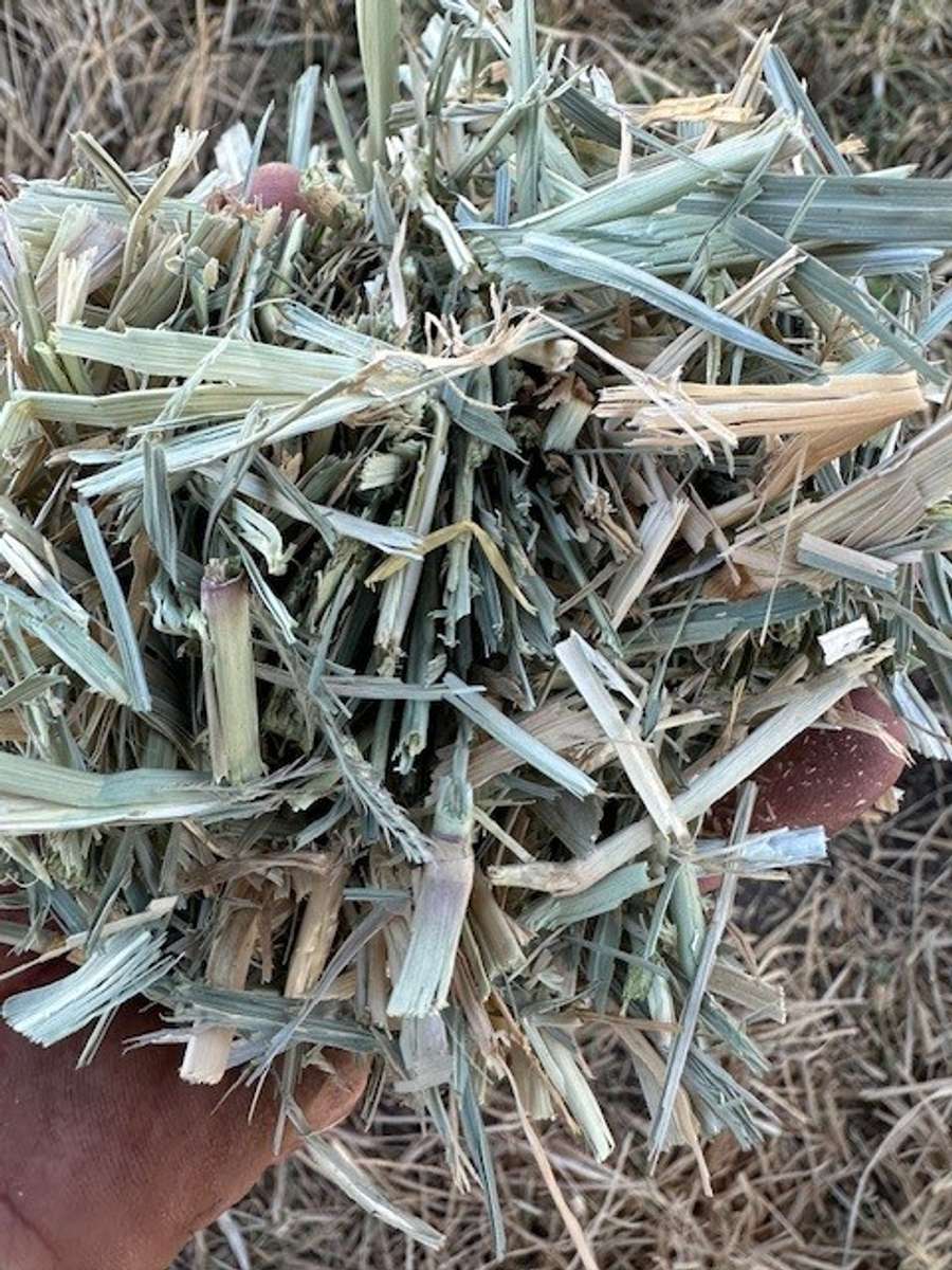 Batch 4990788000209780007 Image