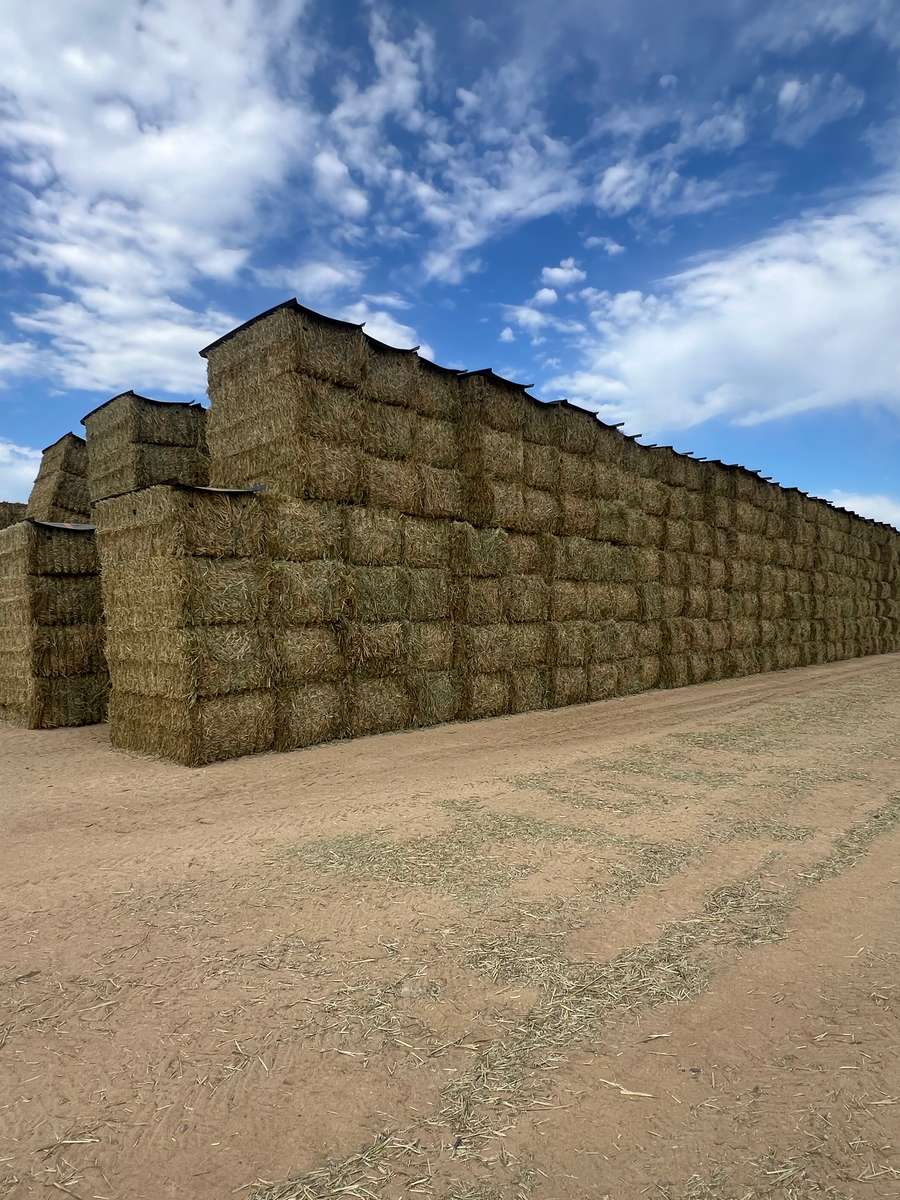 Batch 4990788000199034044 Image