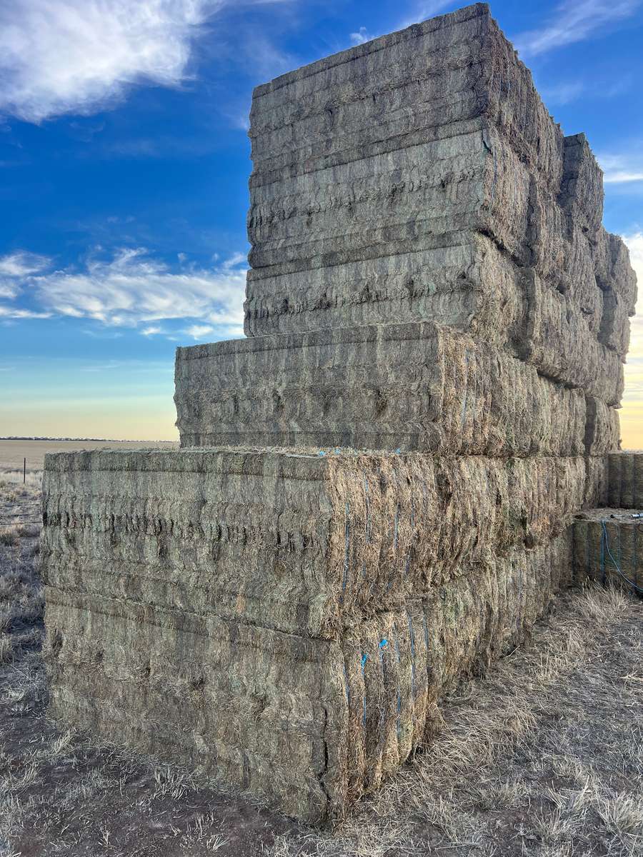 Batch 4990788000211309029 Image