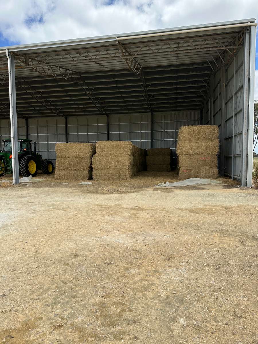 Batch 4990788000207357451 Image