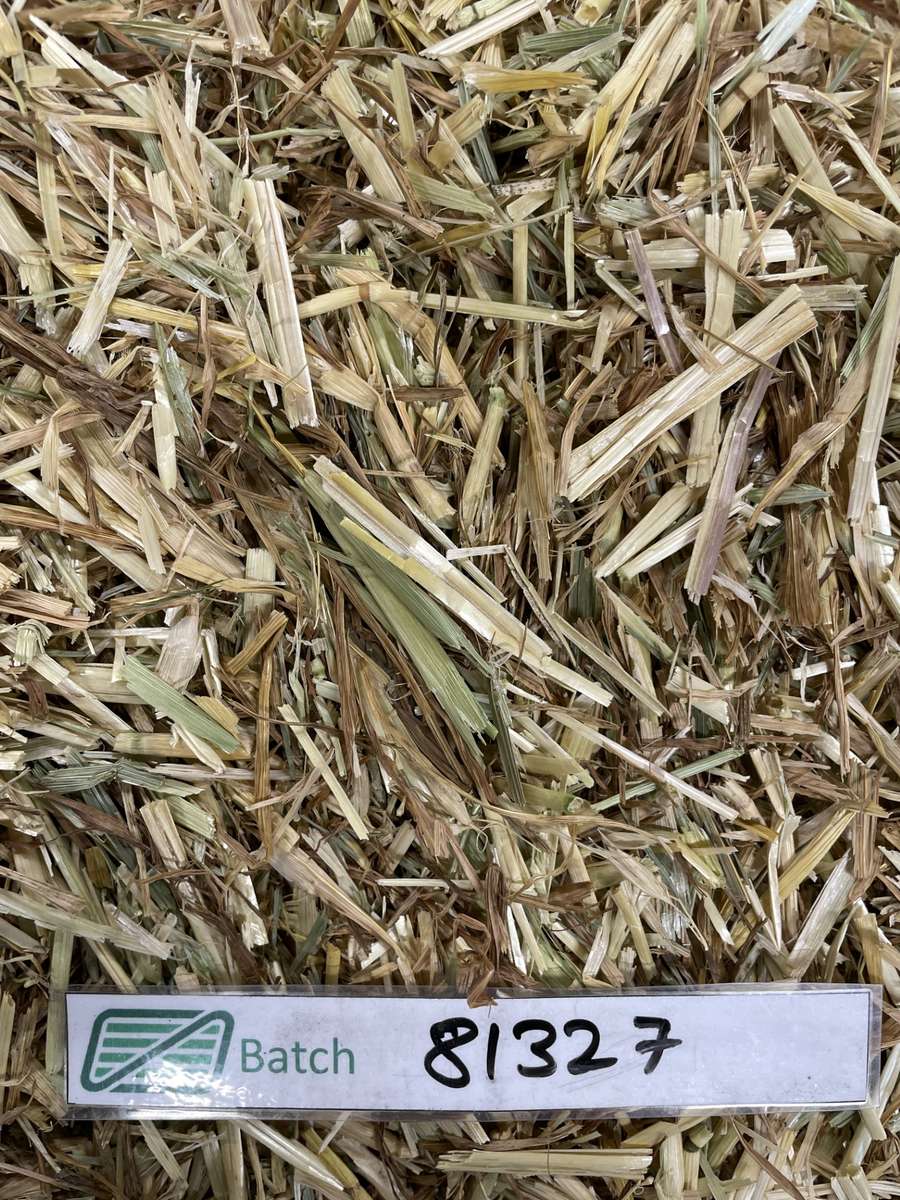 Batch 4990788000210028001 Image