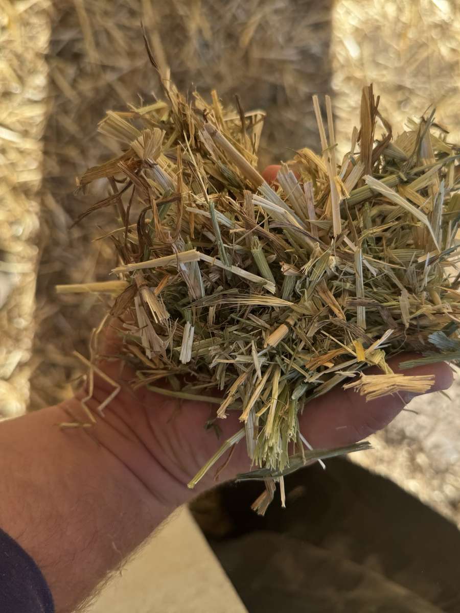 Batch 4990788000210129047 Image