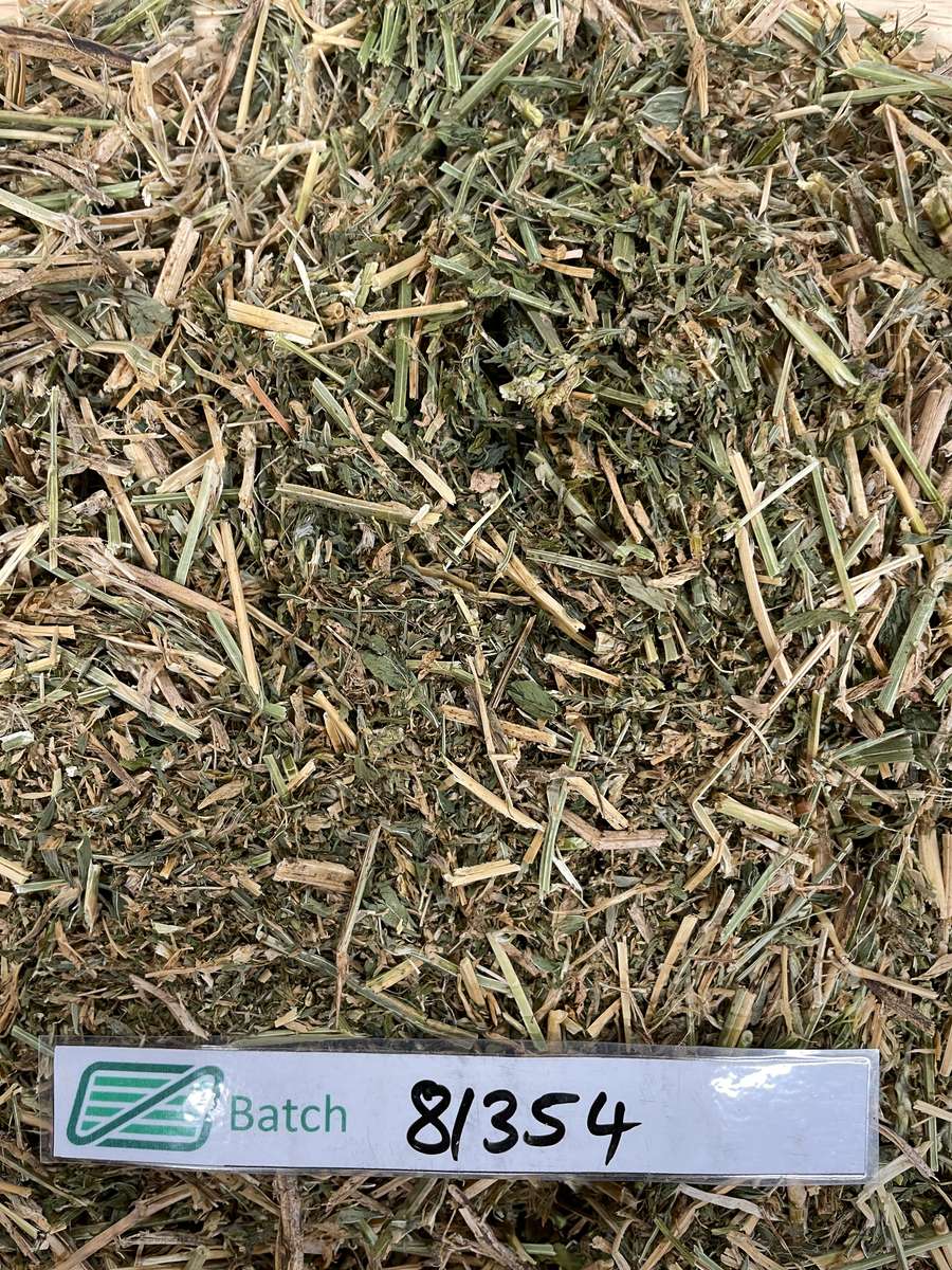 Batch 4990788000210937001 Image