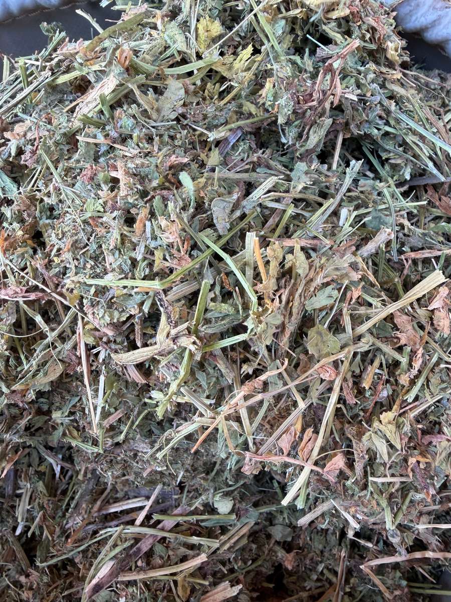 Batch 4990788000214178001 Image