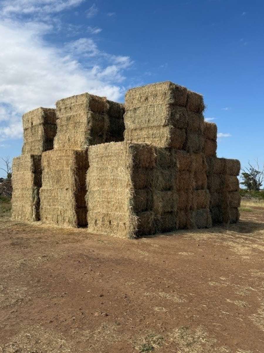 Batch 4990788000210705001 Image