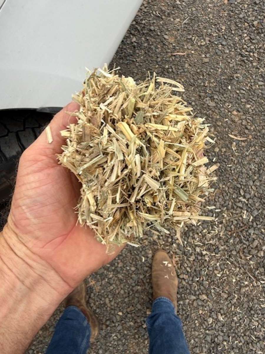 Batch 4990788000214594001 Image