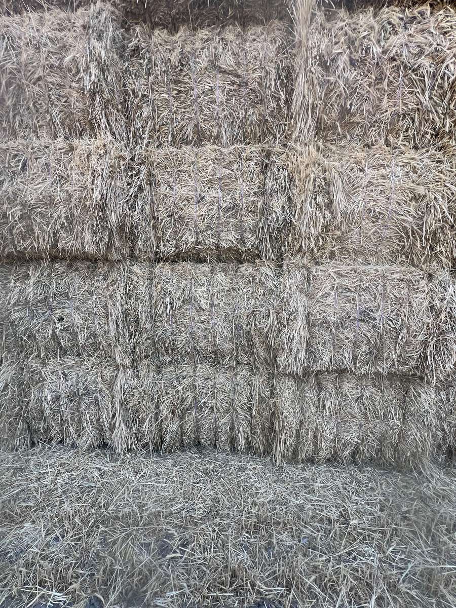 Batch 4990788000200922301 Image