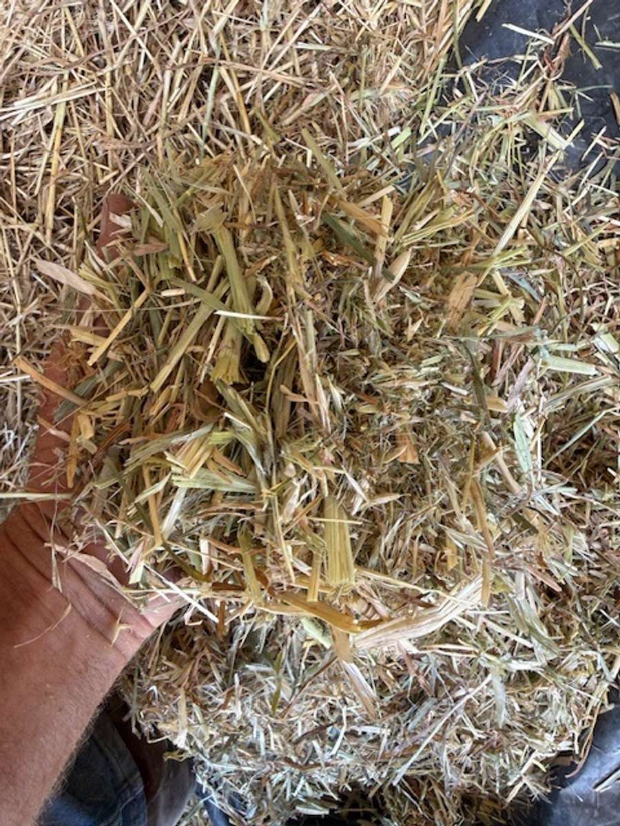 Batch 4990788000210115076 Image