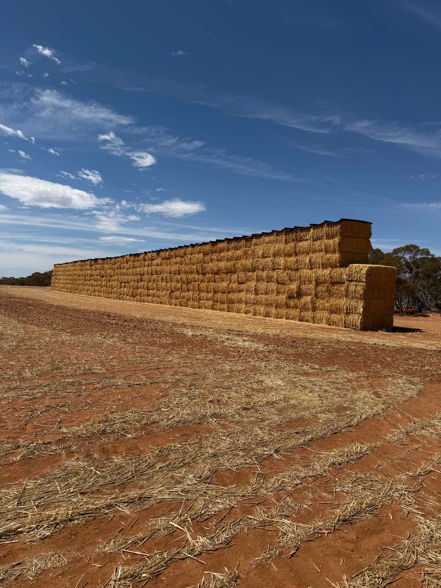 Batch 4990788000214169014 Image