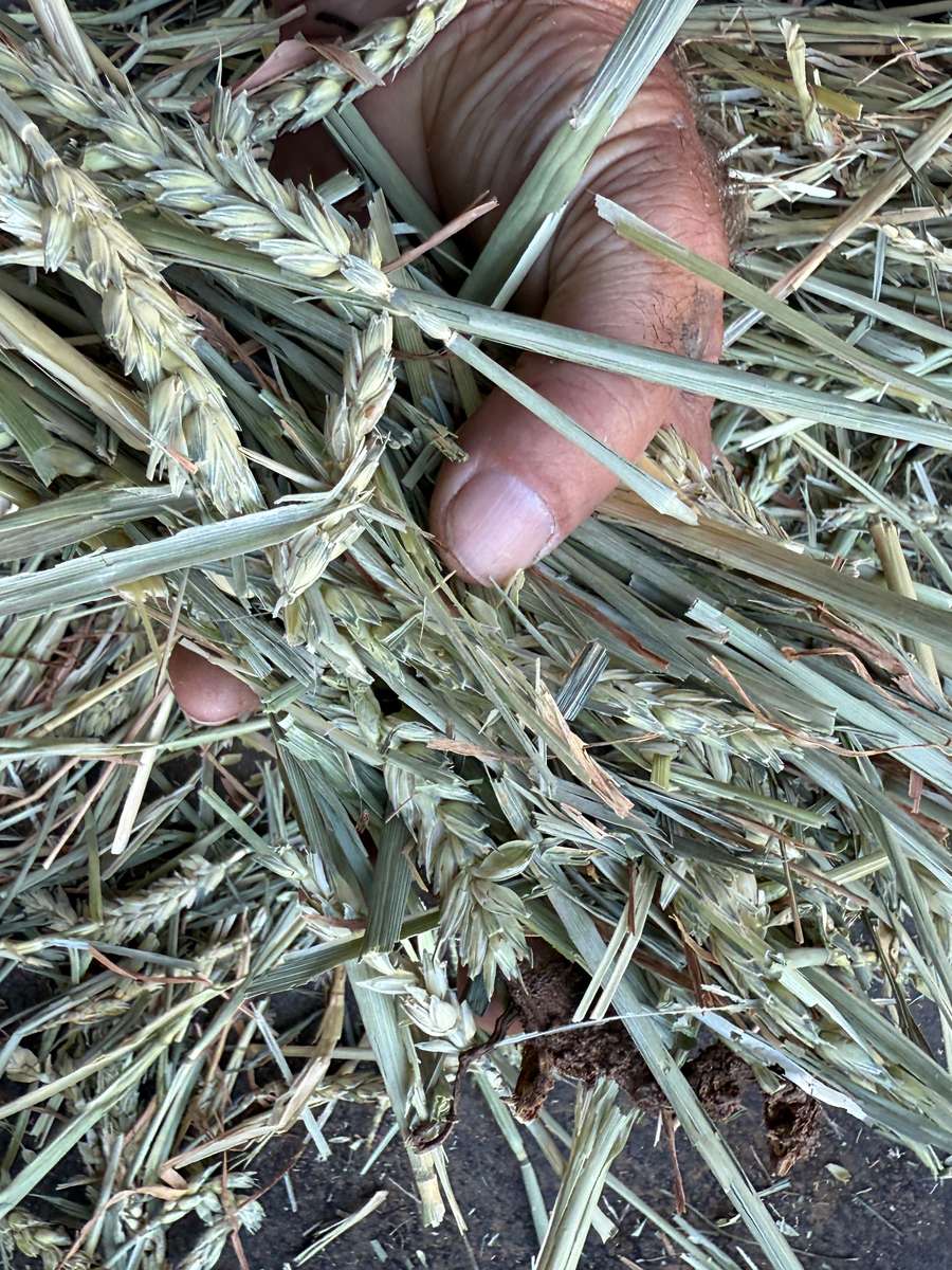 Batch 4990788000208289001 Image