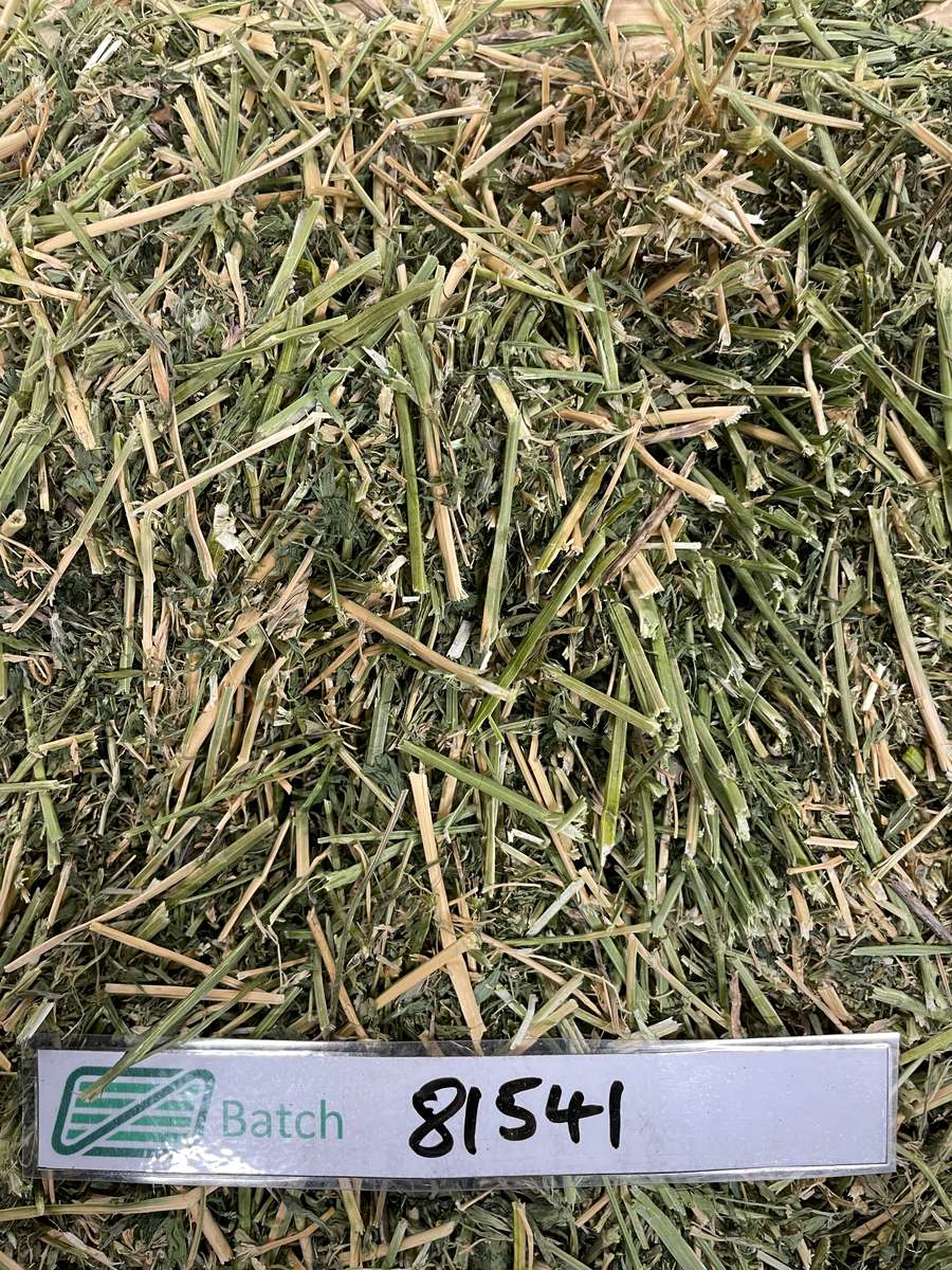 Batch 4990788000215643046 Image