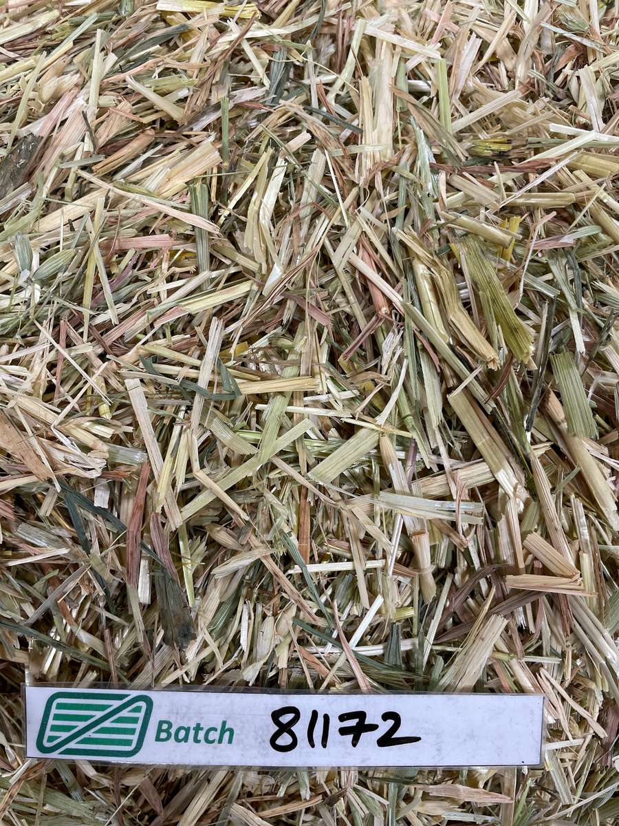 Batch 4990788000204779705 Image