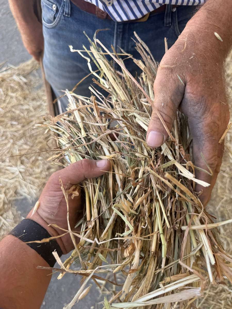 Batch 4990788000210137047 Image