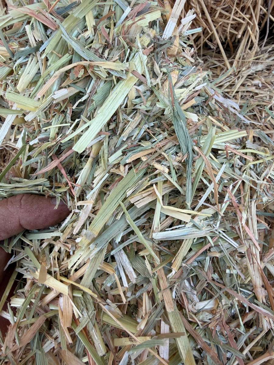 Batch 4990788000214169014 Image