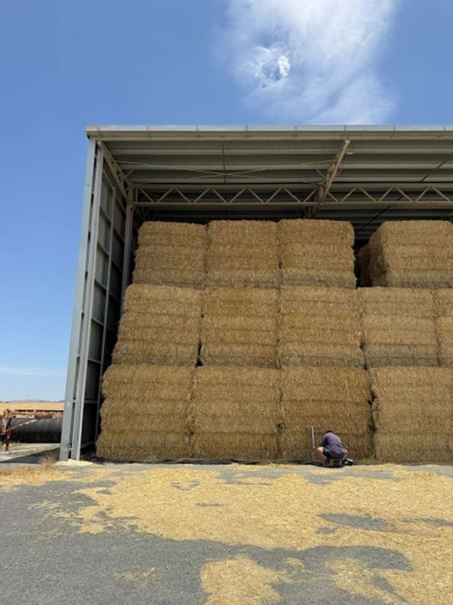 Batch 4990788000210095003 Image