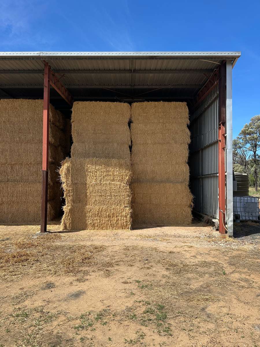 Batch 4990788000215662001 Image