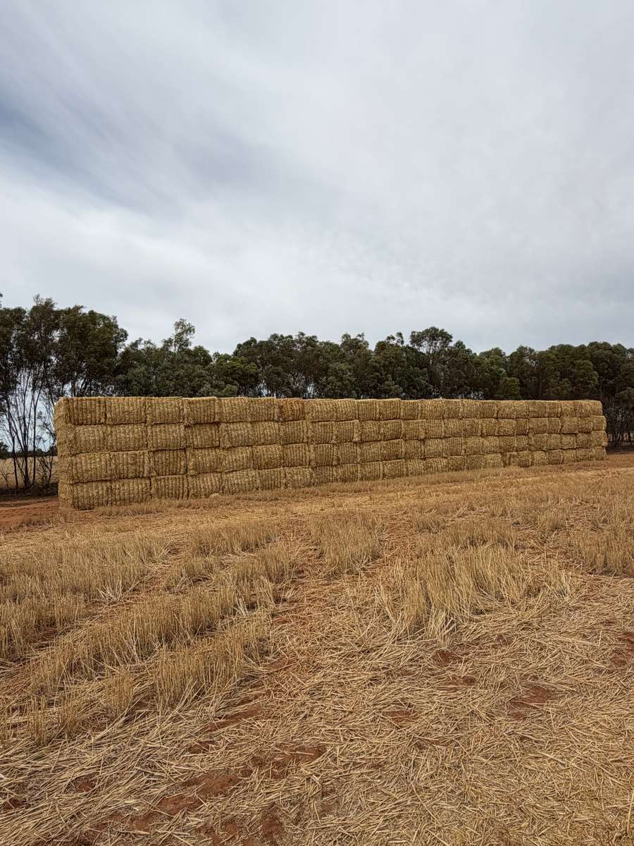 Batch 4990788000213763001 Image