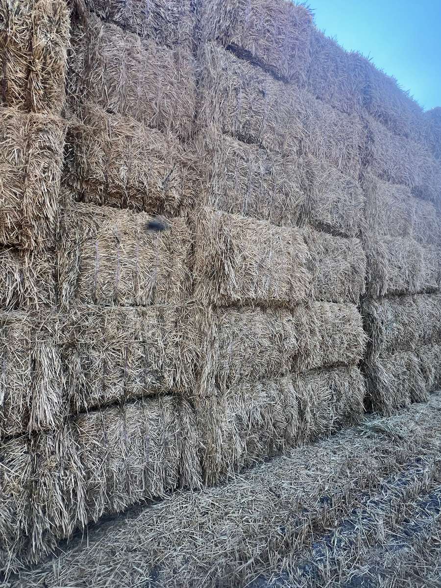 Batch 4990788000200922301 Image