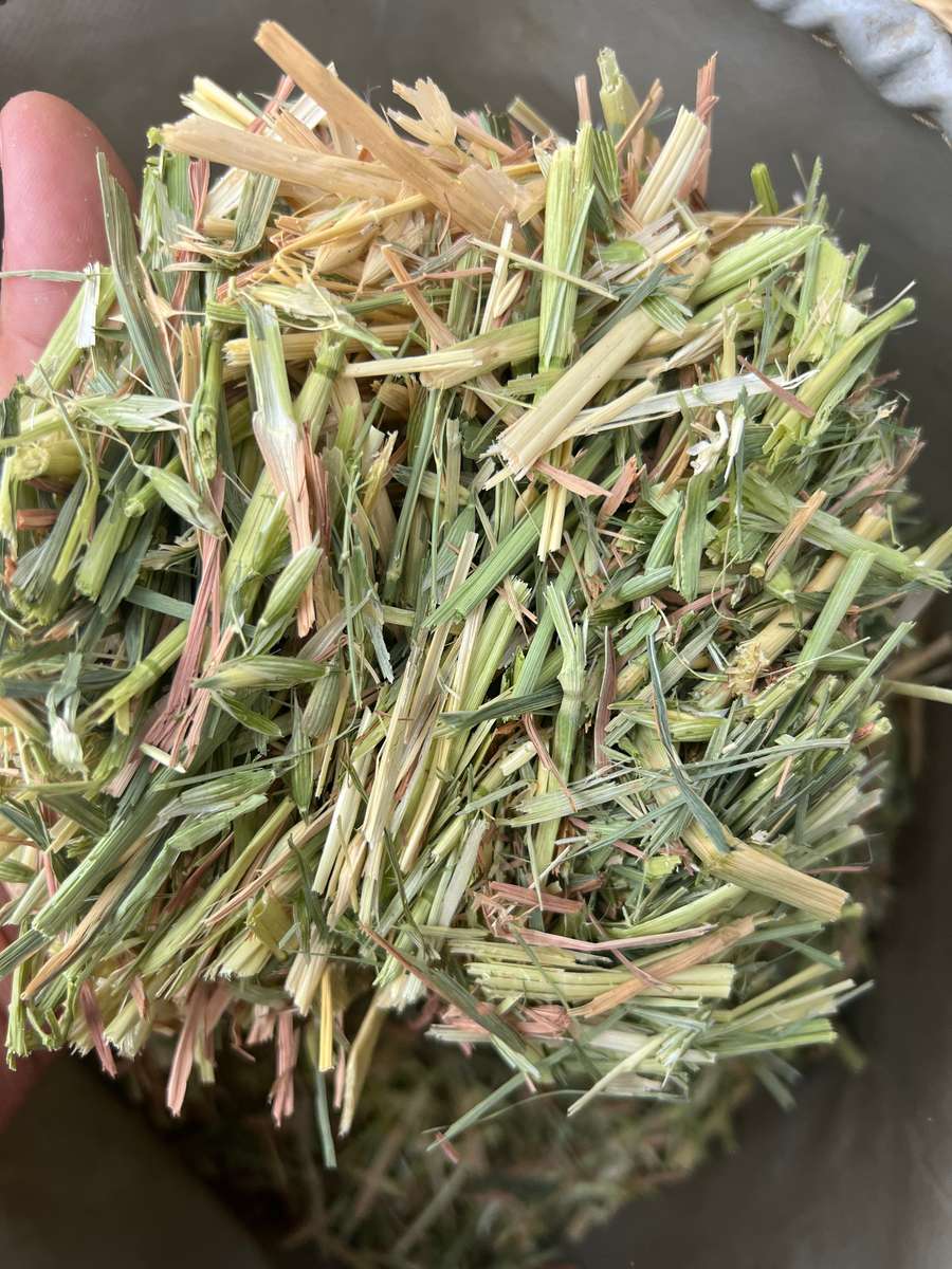 Batch 4990788000204934454 Image