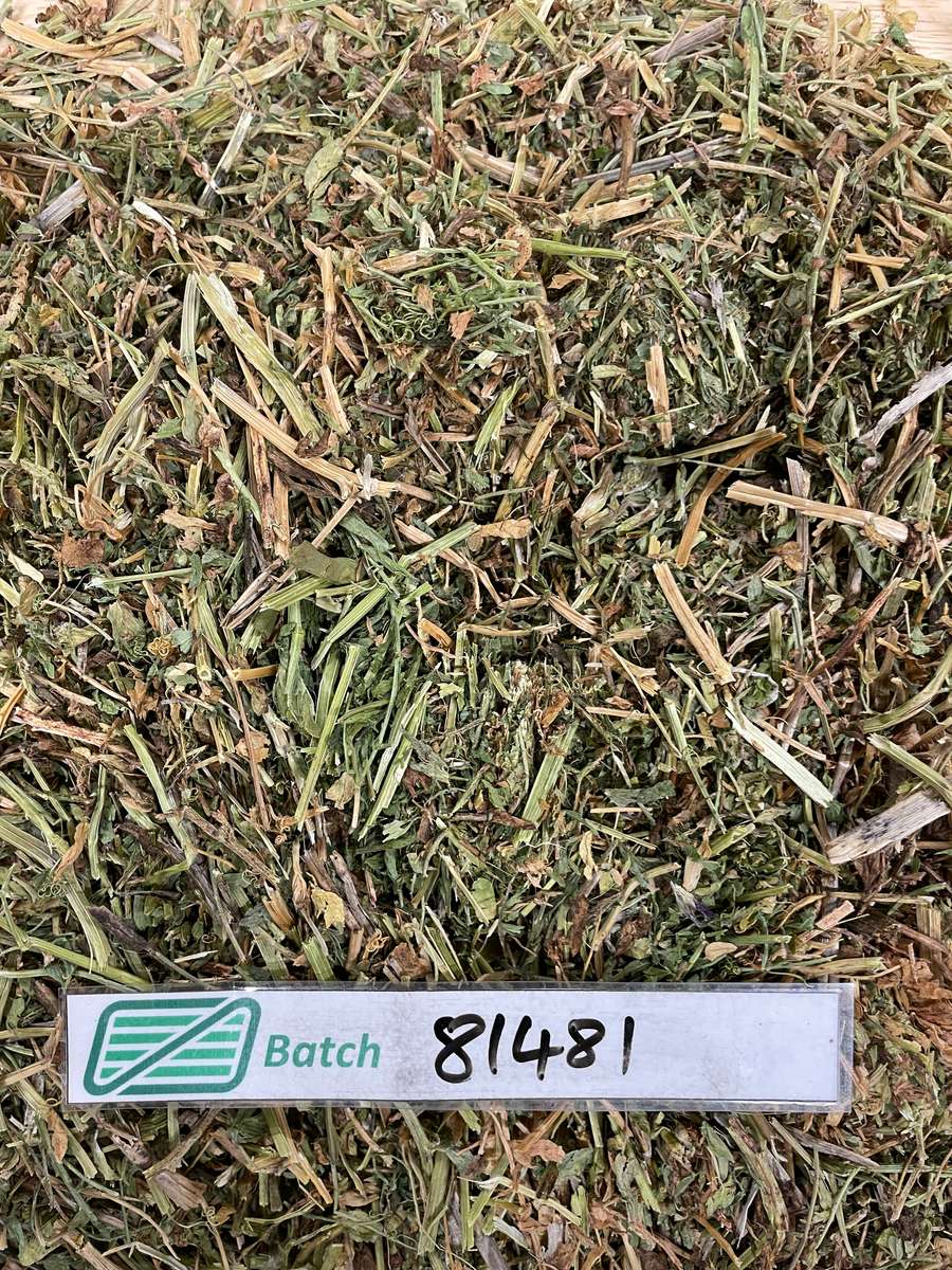 Batch 4990788000214165014 Image