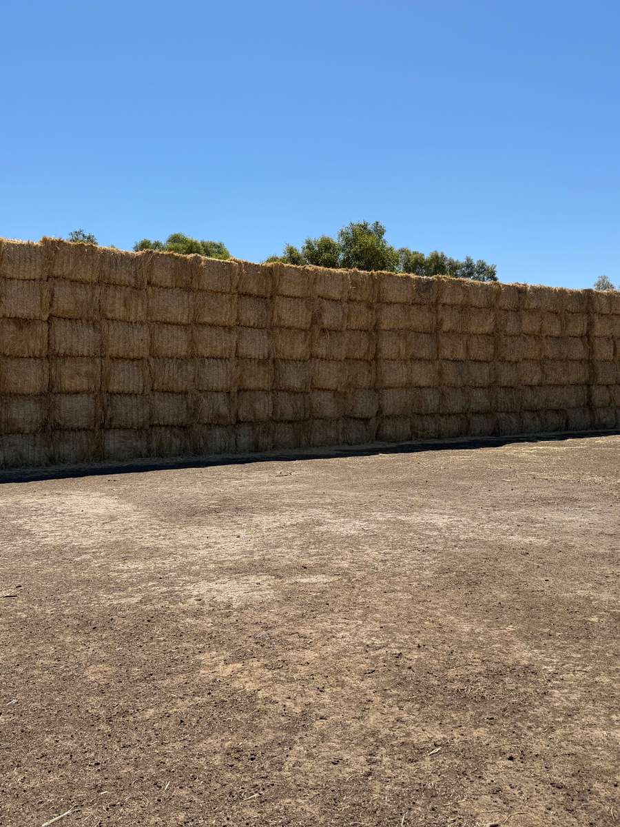 Batch 4990788000213650014 Image