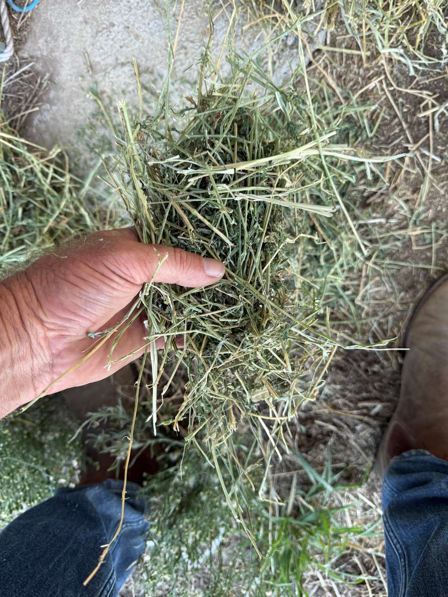 Batch 4990788000213188029 Image