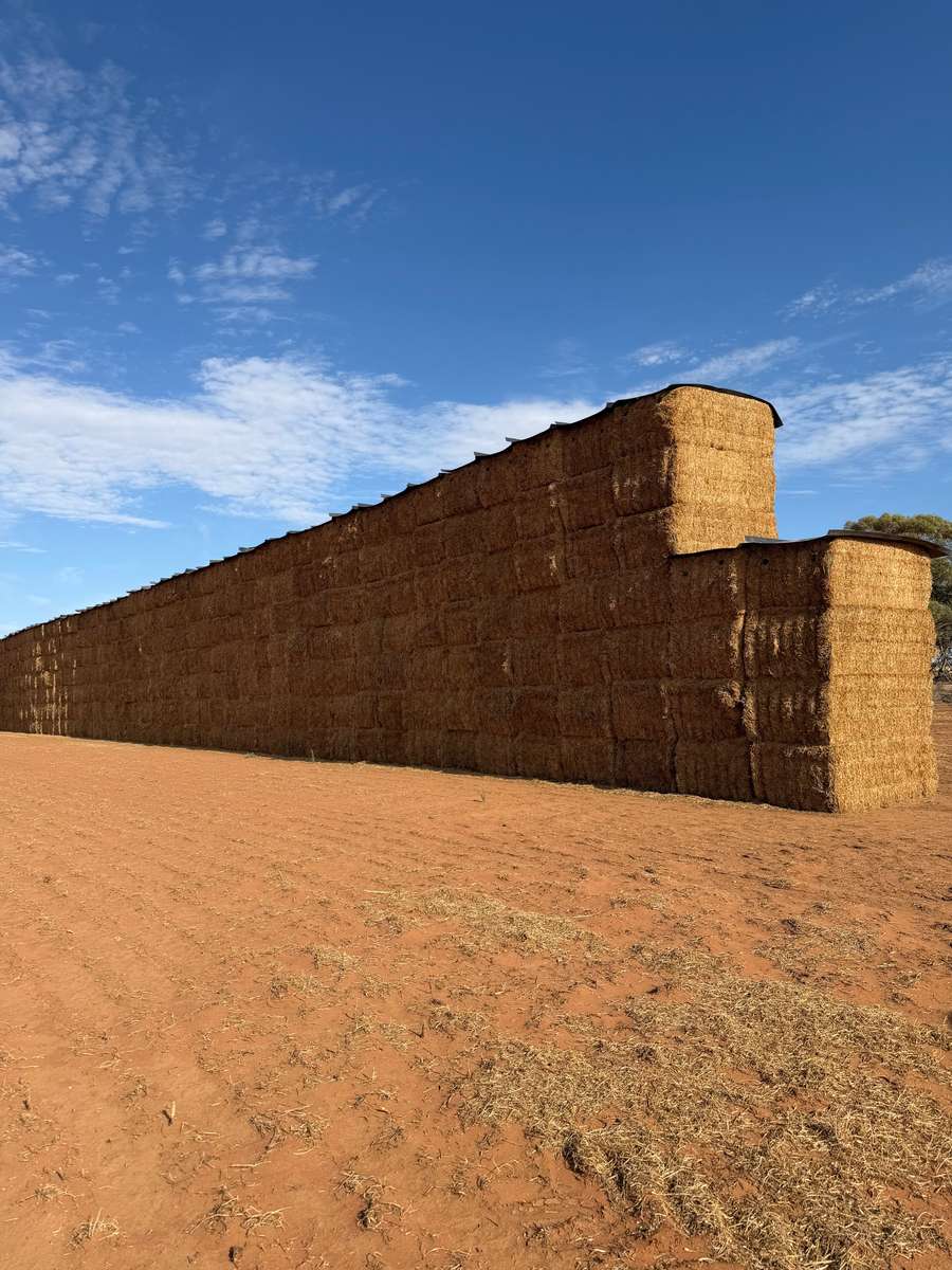 Batch 4990788000214165014 Image