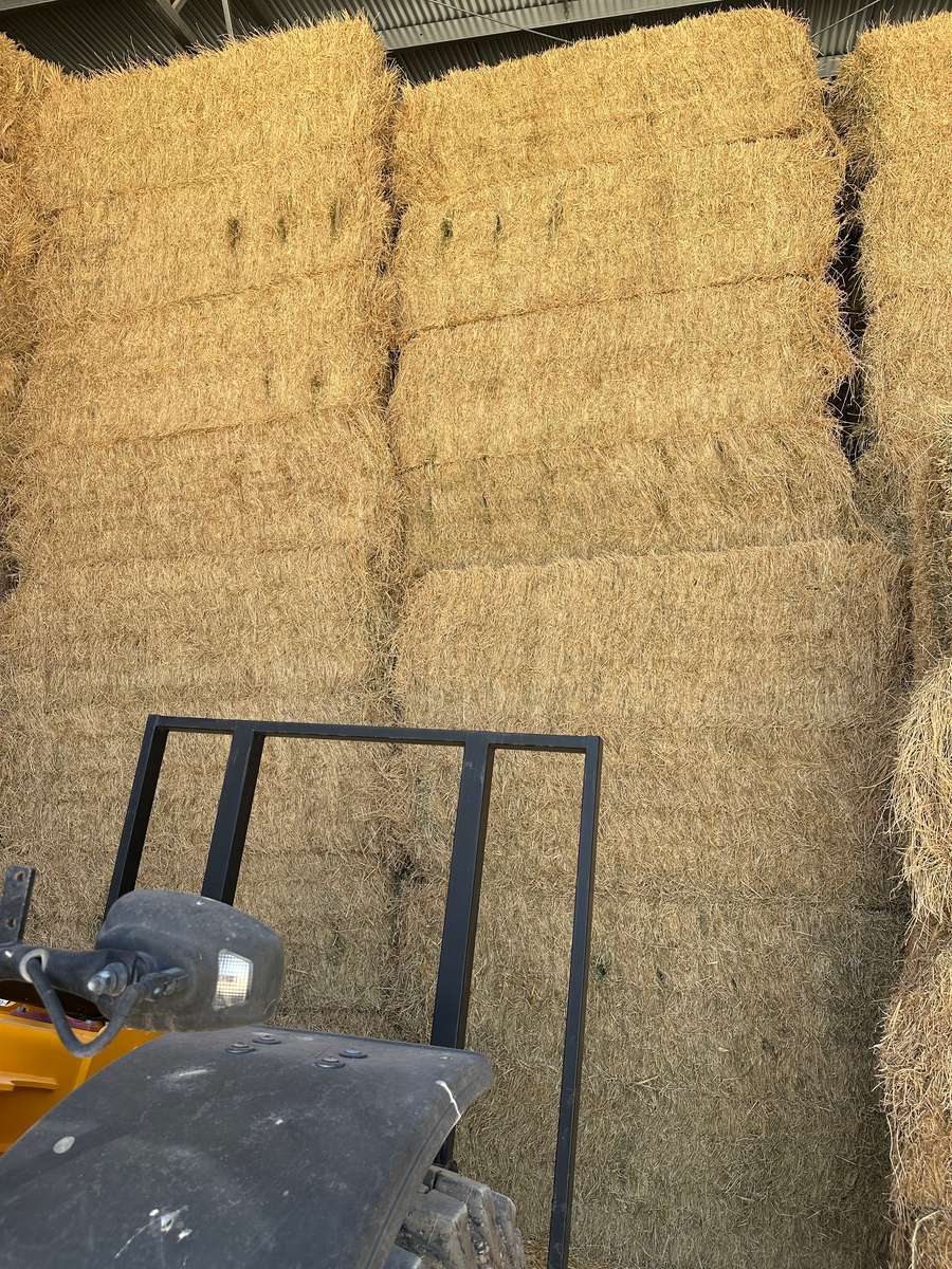 Batch 4990788000215643046 Image