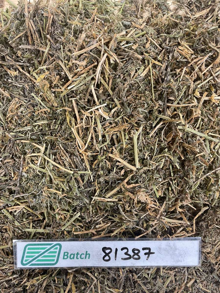 Batch 4990788000211309029 Image