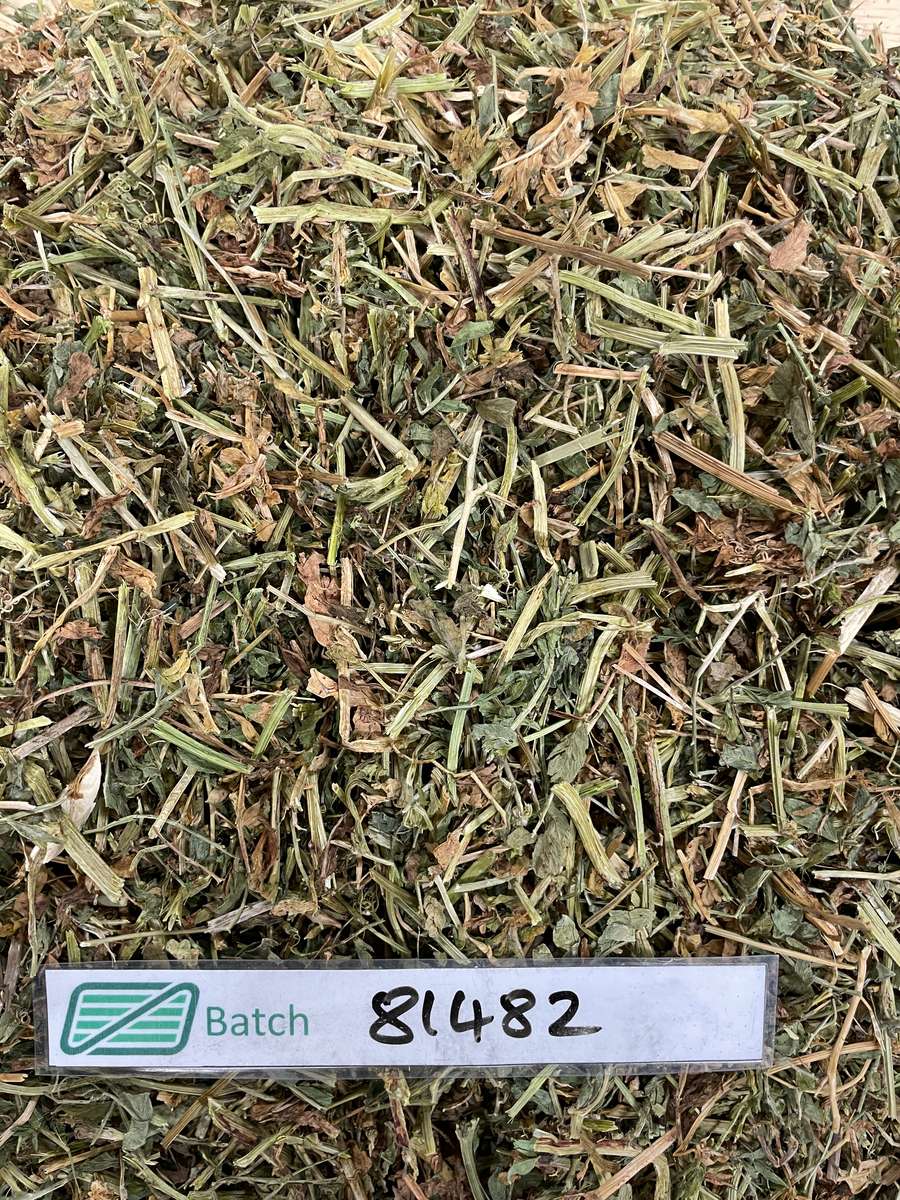 Batch 4990788000214170001 Image