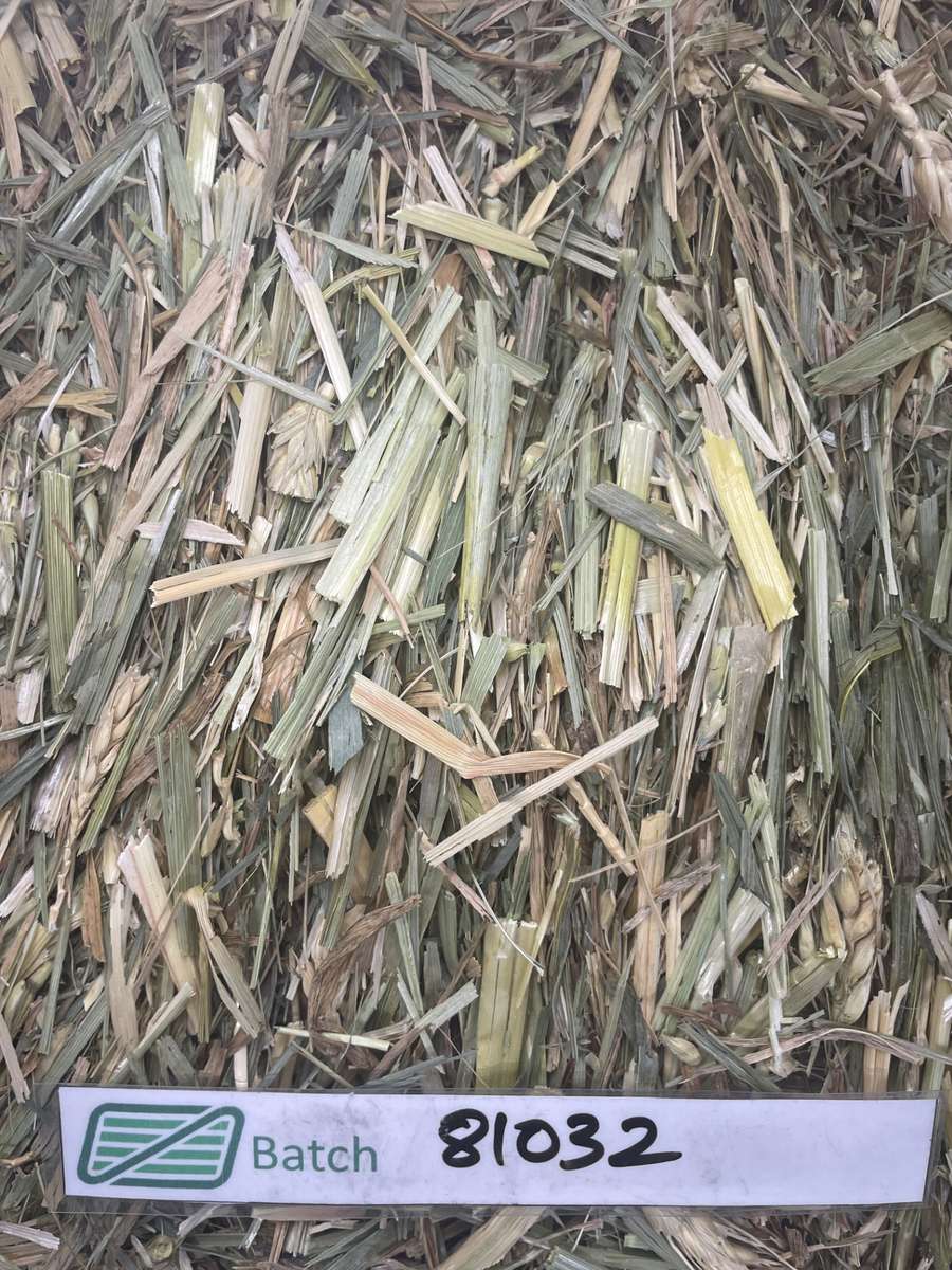 Batch 4990788000199034044 Image