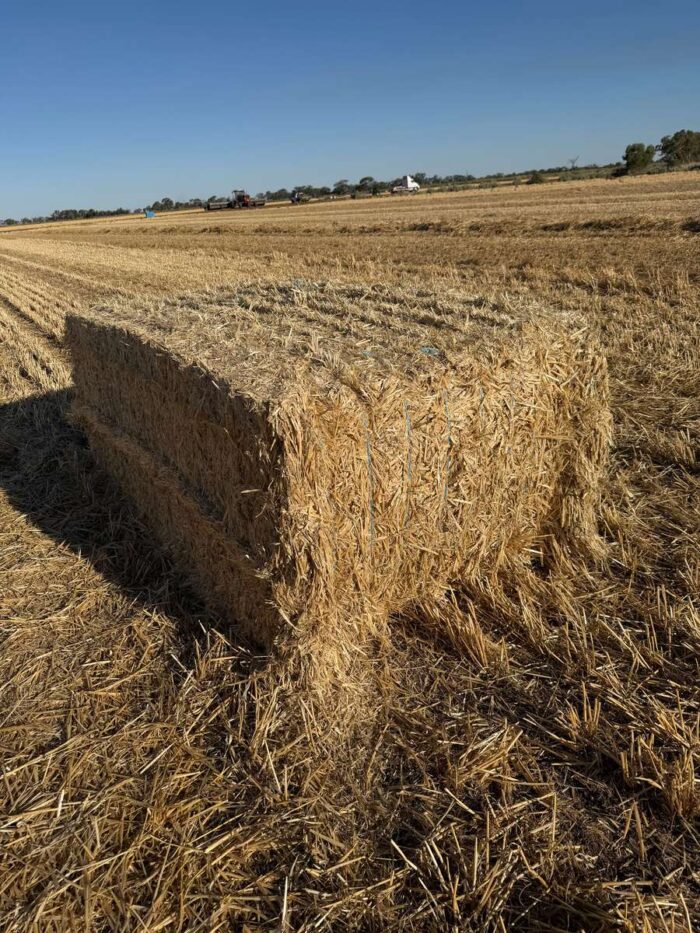 Batch 81468 Cereal Straw – Fodder Link Website
