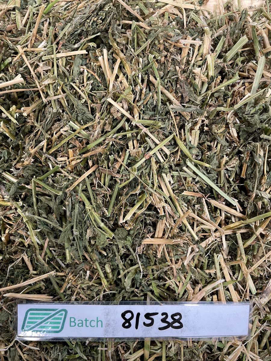 Batch 4990788000215656001 Image