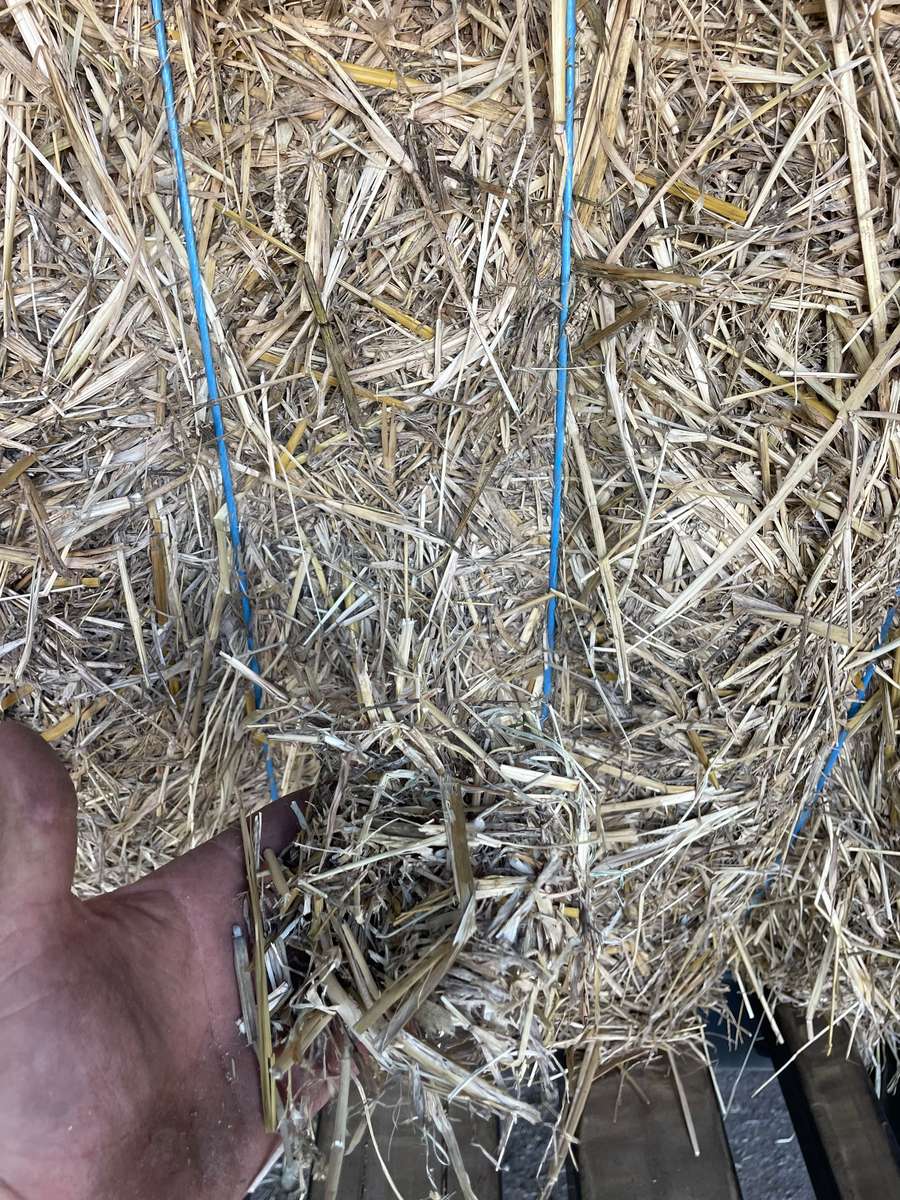 Batch 4990788000214151014 Image