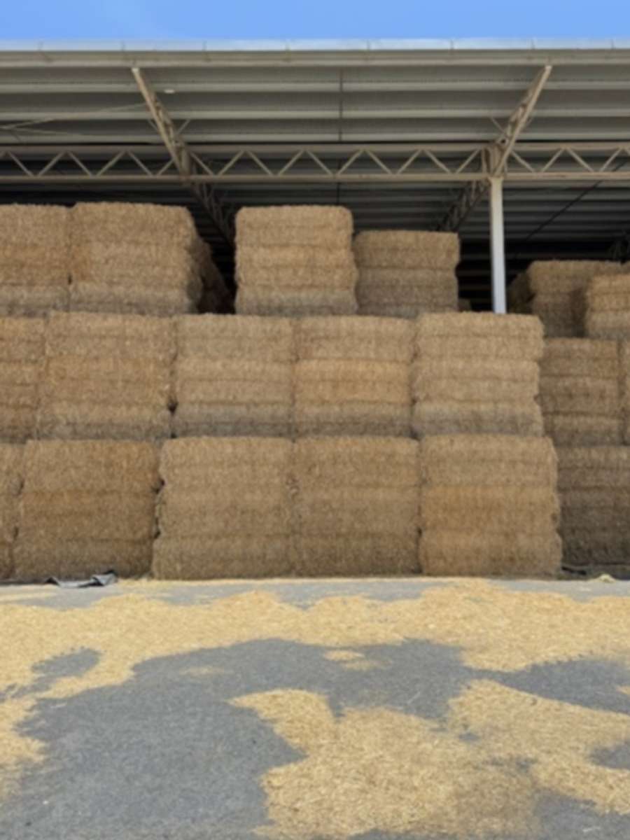 Batch 4990788000210115076 Image