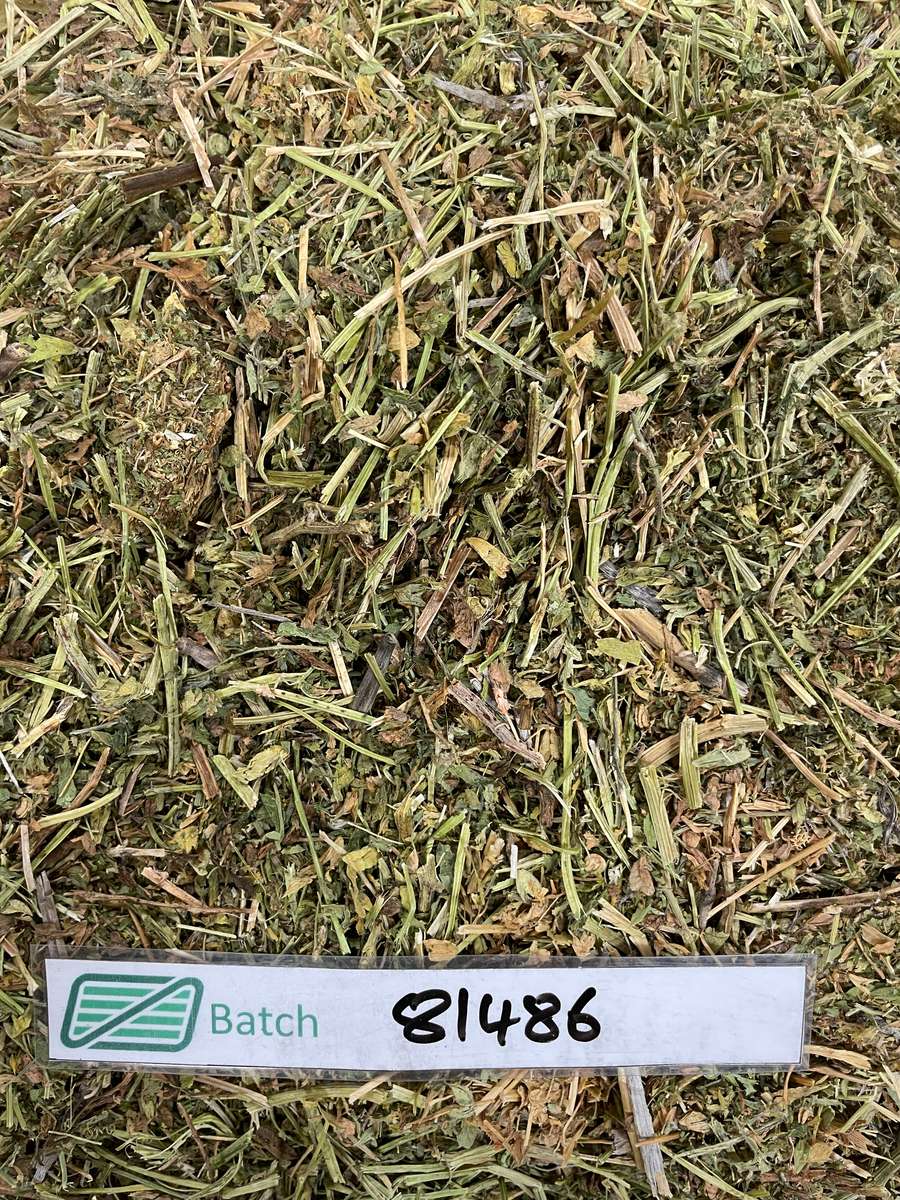 Batch 4990788000214178001 Image