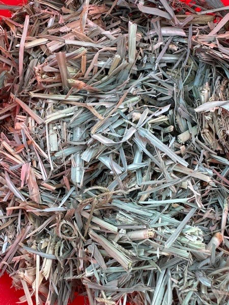 Batch 4990788000209780007 Image