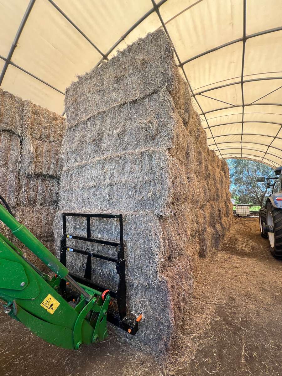 Batch 4990788000215610001 Image