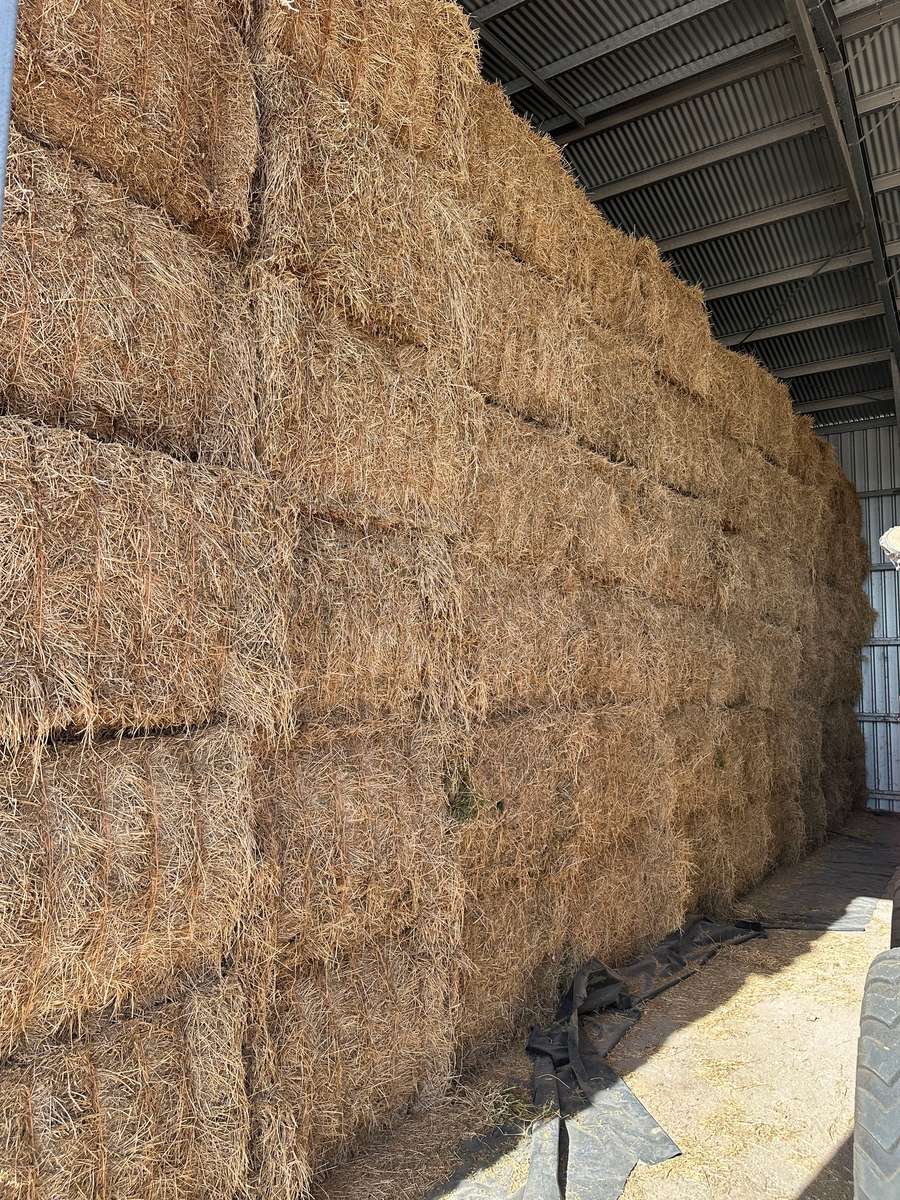 Batch 4990788000215656001 Image