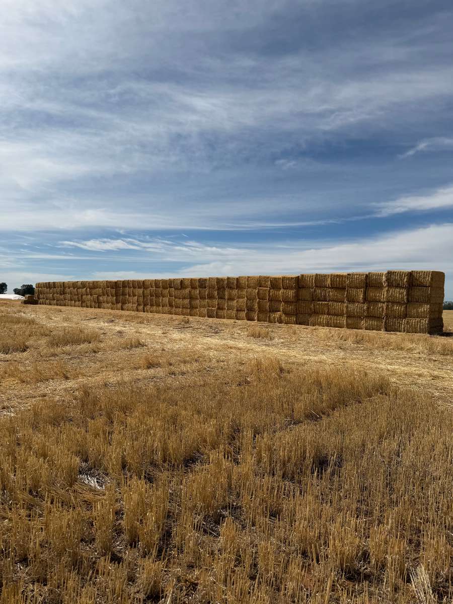 Batch 4990788000213763001 Image