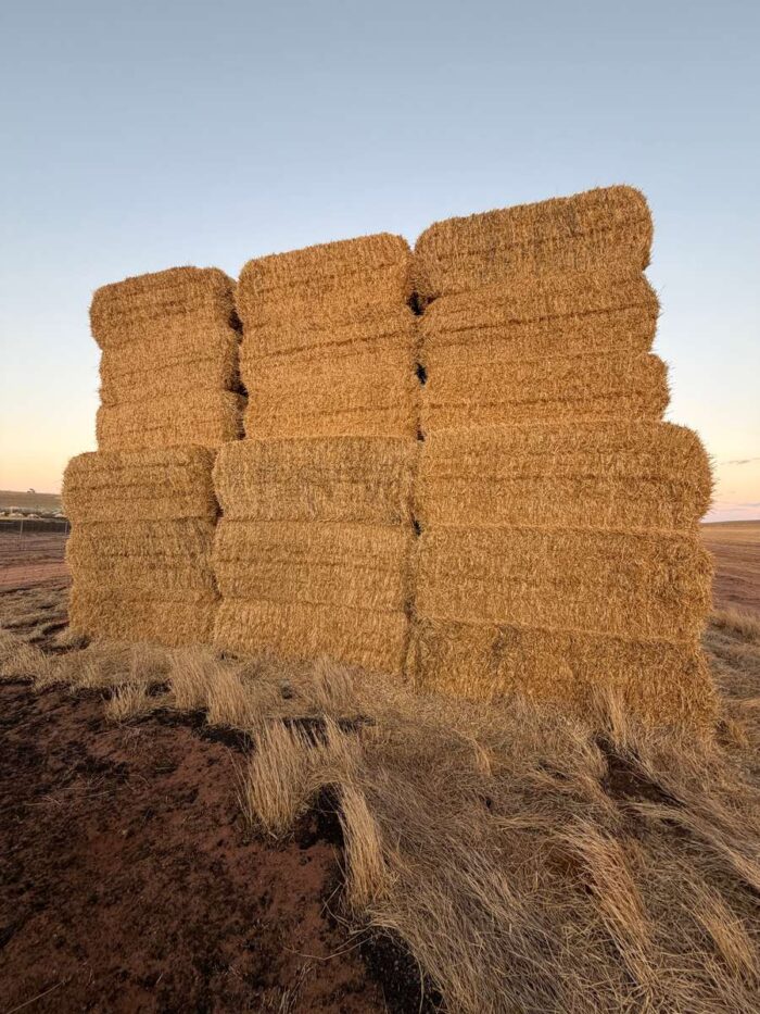 Batch 81496 Cereal Straw – Fodder Link Website