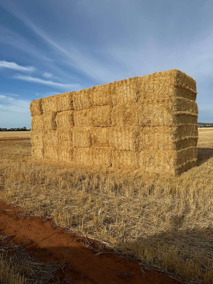 Batch 4990788000213814001 Image