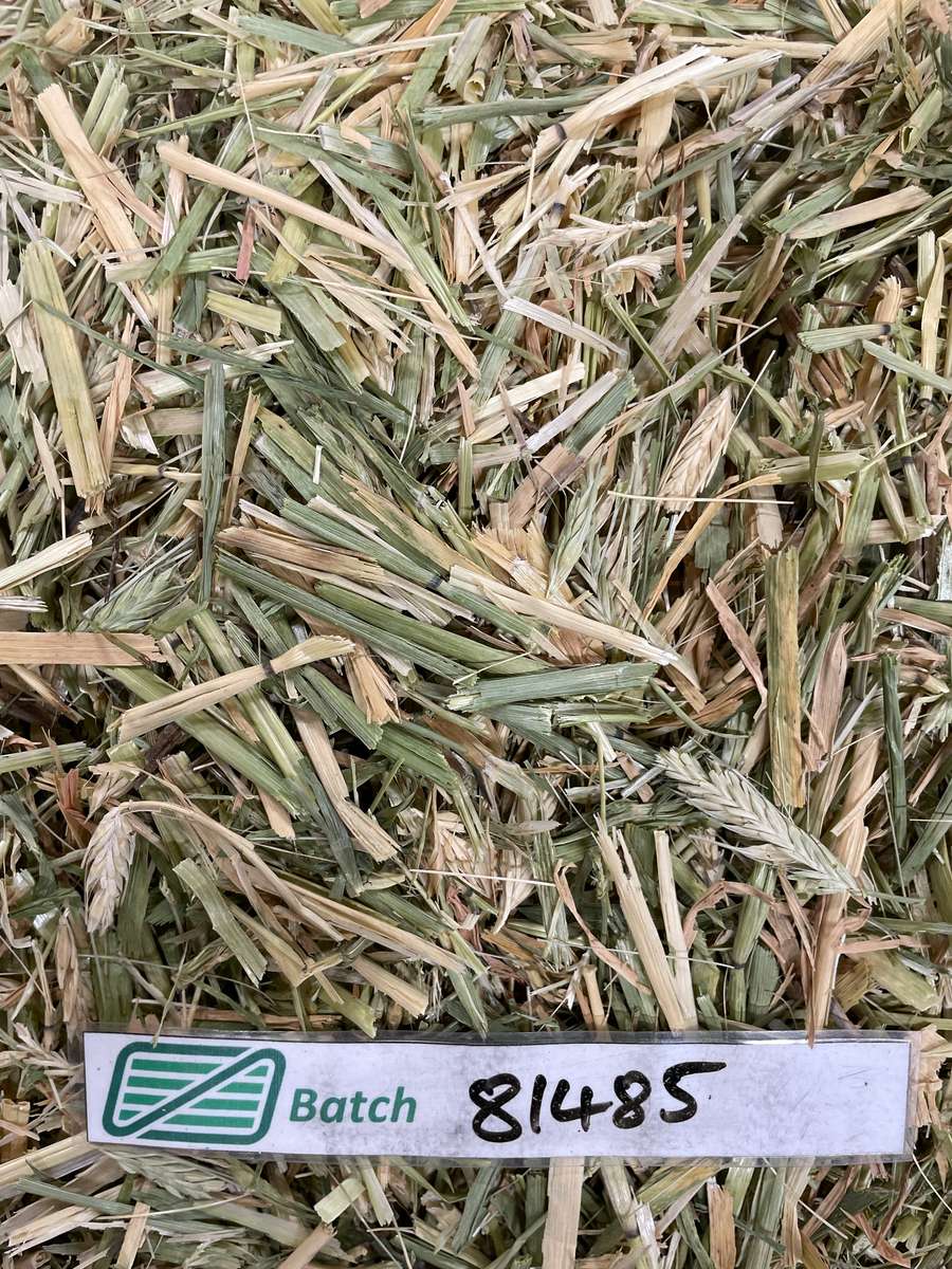 Batch 4990788000214148034 Image