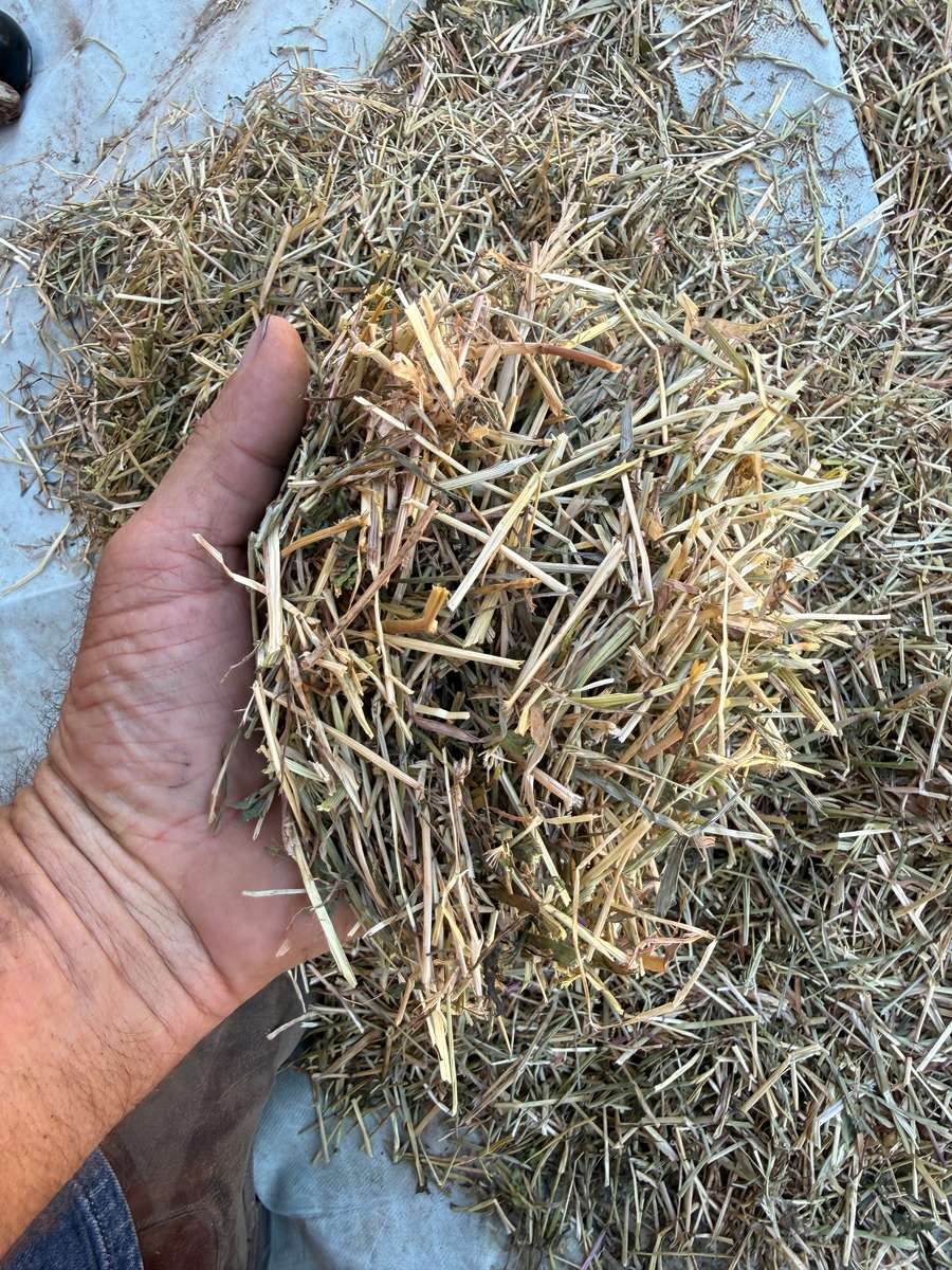 Batch 4990788000209555001 Image