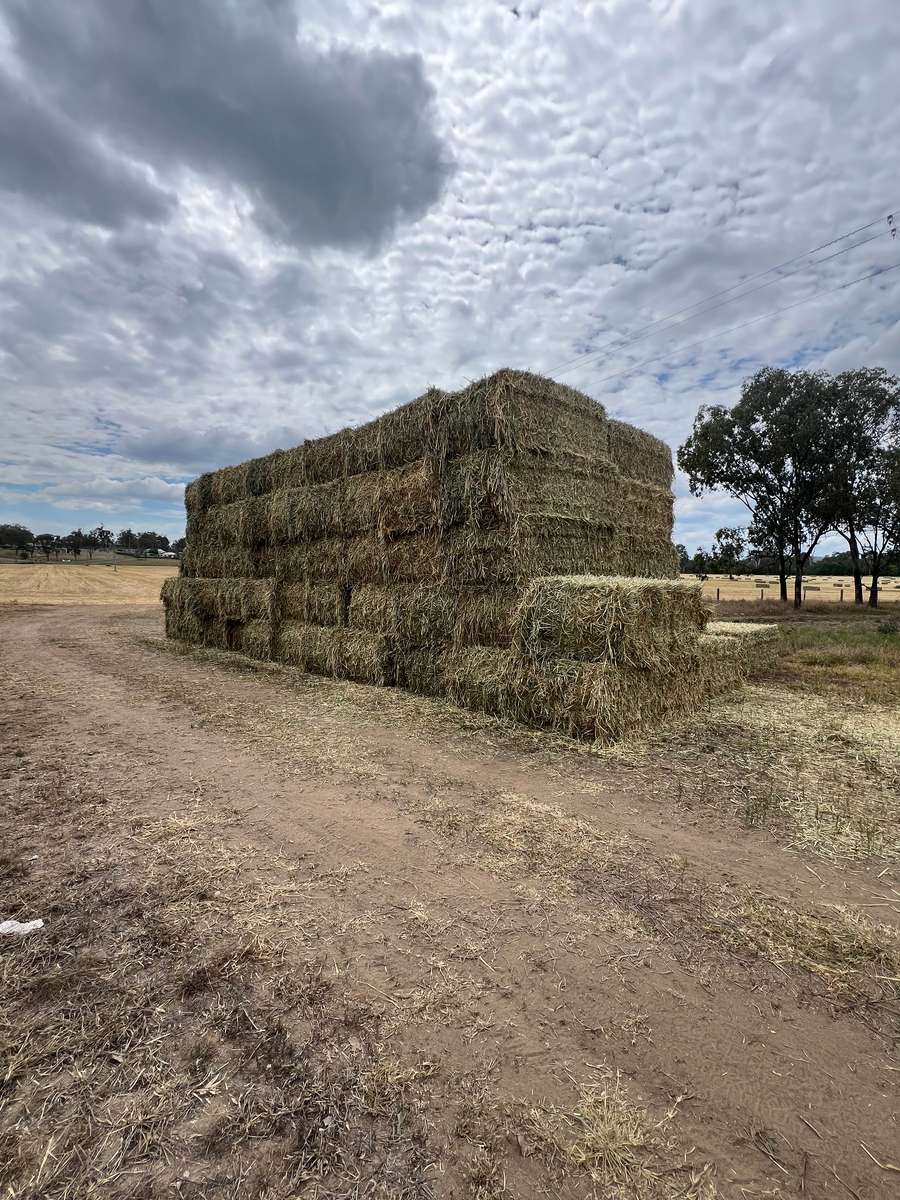 Batch 4990788000197456150 Image