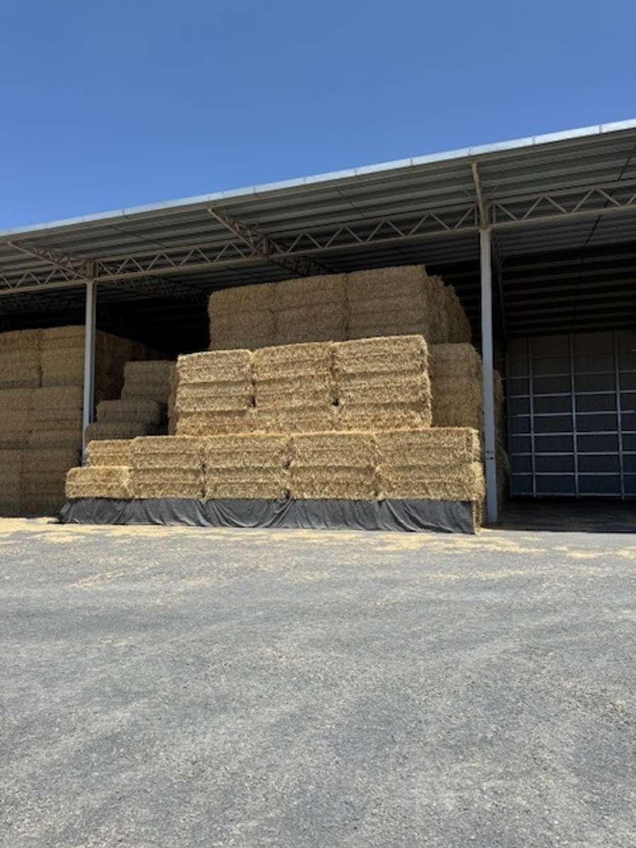 Batch 4990788000210080034 Image