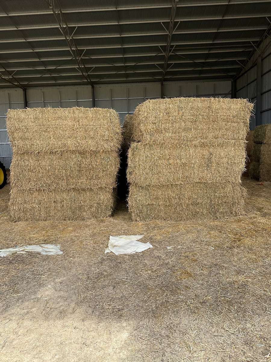 Batch 4990788000207357451 Image