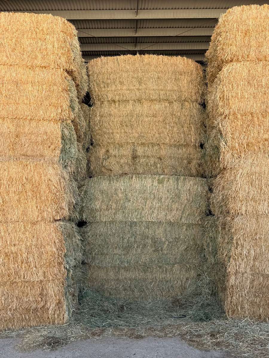 Batch 4990788000213879001 Image