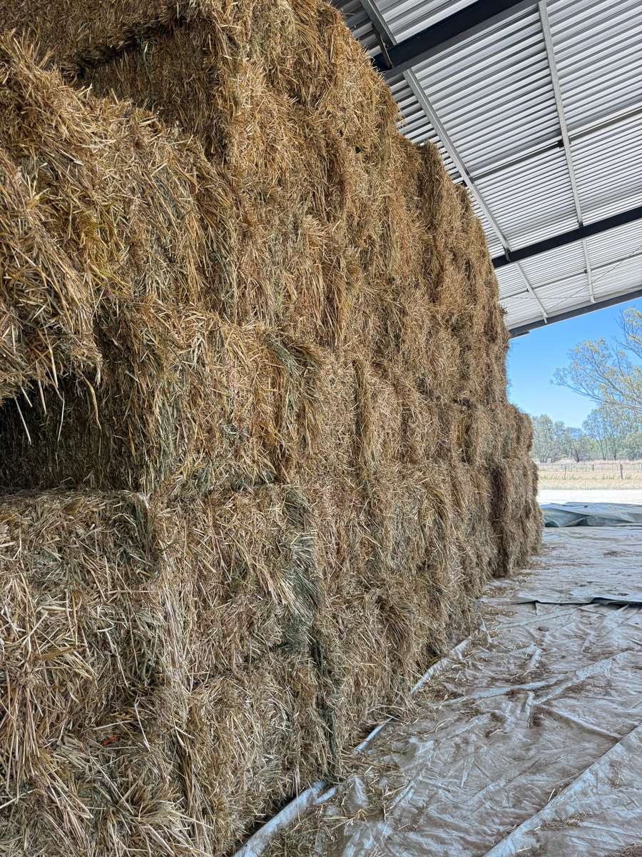 Batch 4990788000209507040 Image