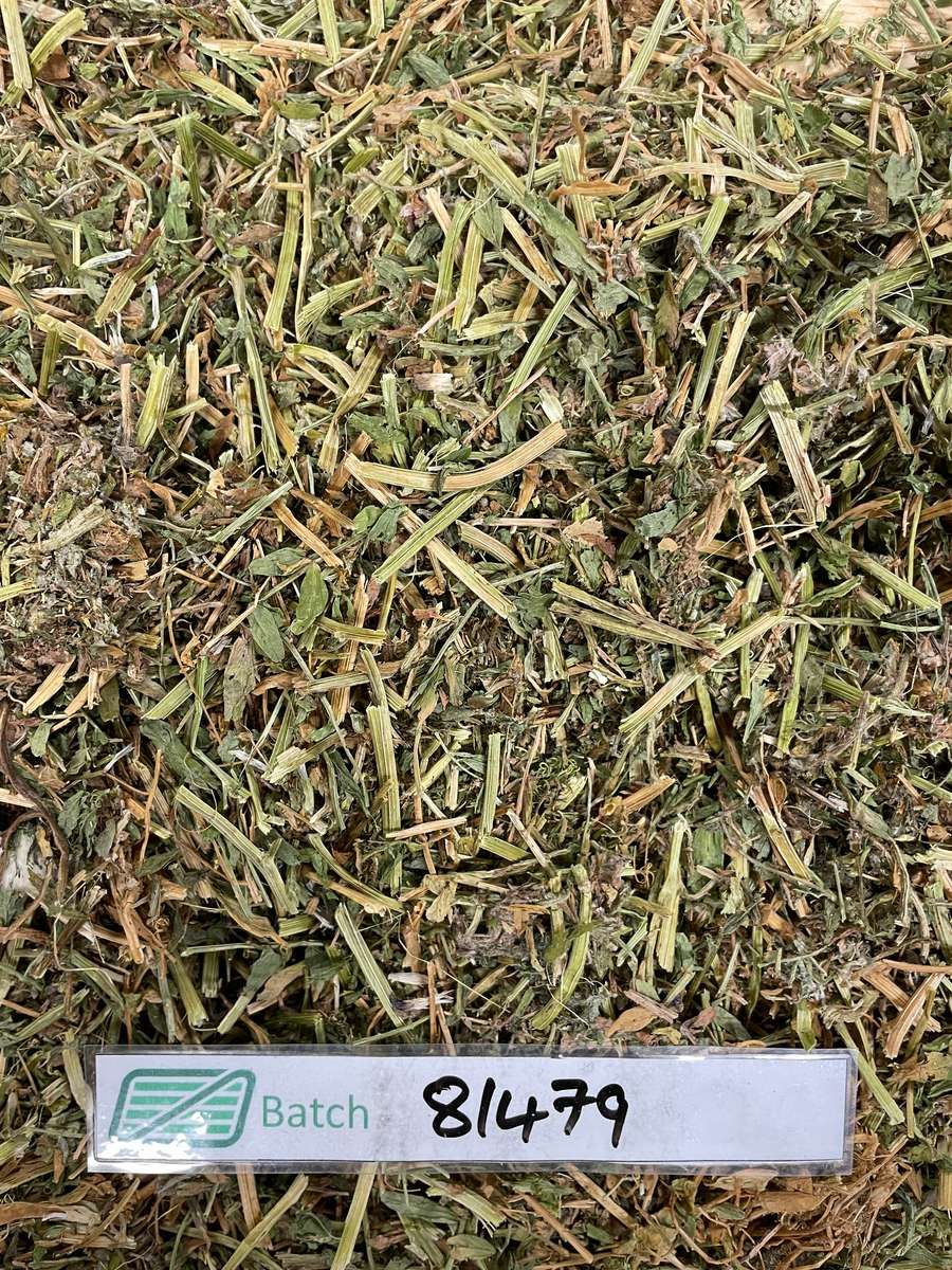 Batch 4990788000214162001 Image